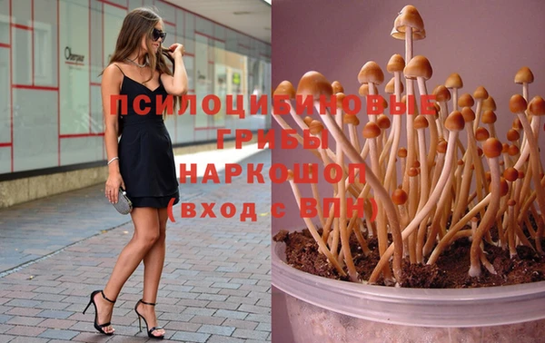 крисы Абинск