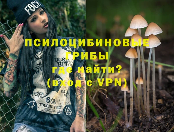 твердый Алексин