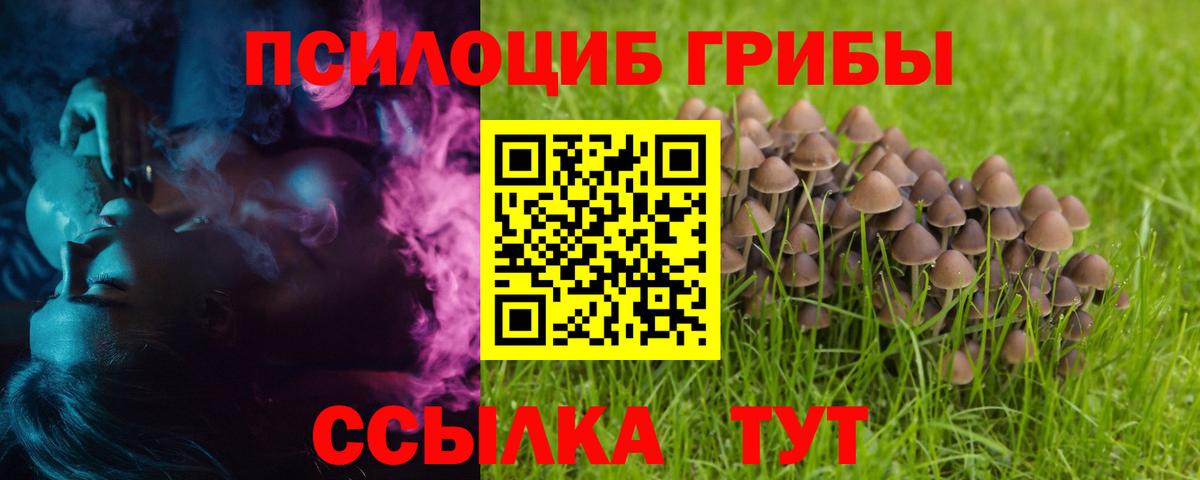 Псилоцибиновые грибы Psilocybe  Галлюциногенные грибы Psilocybe  Вход с VPN  Троицк 
