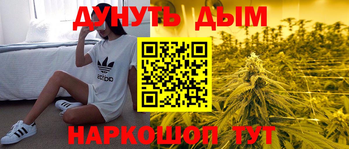 Бошки Шишки планчик Троицк